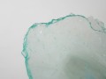 DSC03693.jpg