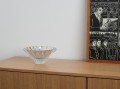 DSC03868.jpg