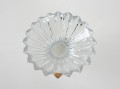DSC03742.jpg