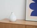 DSC04063.jpg