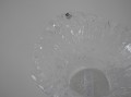 DSC03118.jpg