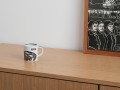 DSC03231.jpg