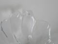 DSC03250.jpg