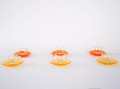 DSC04526-2.jpg