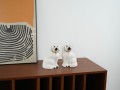 DSC00146.jpg