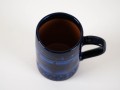 DSC09611.jpg