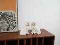 DSC00153.jpg