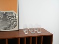 DSC00195.jpg