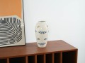 DSC00206.jpg