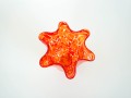 DSC01023.jpg