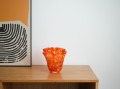 DSC01288.jpg