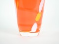 DSC01029.jpg
