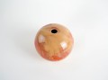DSC01059.jpg