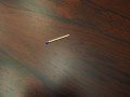 P1018767.jpg