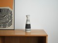 DSC01583.jpg