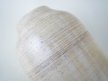DSC01397.jpg