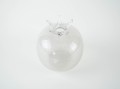 DSC01423.jpg