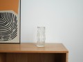 DSC01591.jpg
