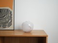 DSC01595.jpg