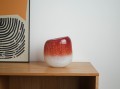 DSC01598.jpg