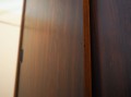 P1010238.jpg