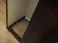 P1010242.jpg