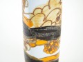 DSC01698.jpg