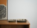 DSC01955.jpg