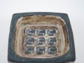 DSC01748.jpg