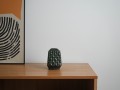 DSC01963.jpg