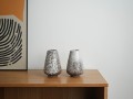 DSC01971.jpg