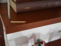 DSC05654.jpg