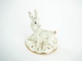 DSC02417.jpg