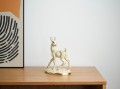 DSC02600.jpg