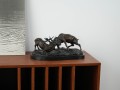 DSC00482.jpg