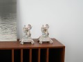 DSC00489.jpg