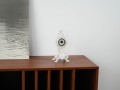 DSC00494.jpg