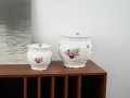 DSC00495.jpg