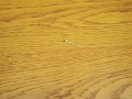 stolik-debowy-vintage-retro-8.JPG