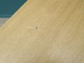 PB093123.JPG