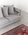 200917_nuko4146.jpg