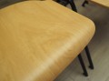 P4299693.JPG