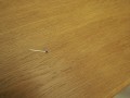 P6304814.JPG