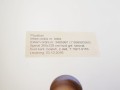 P1012400.JPG