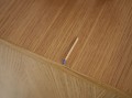 DSC00568.JPG
