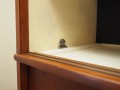 P1018100.JPG