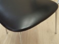 P1018955.JPG