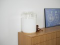 DSC02470.jpg