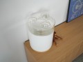 DSC02478.jpg