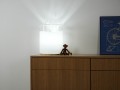 DSC02495.jpg